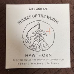 Alex And ANI Bracelet 