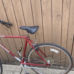 Raleigh  Record Cx Adult Bicycle 