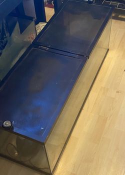 Reptile Tank