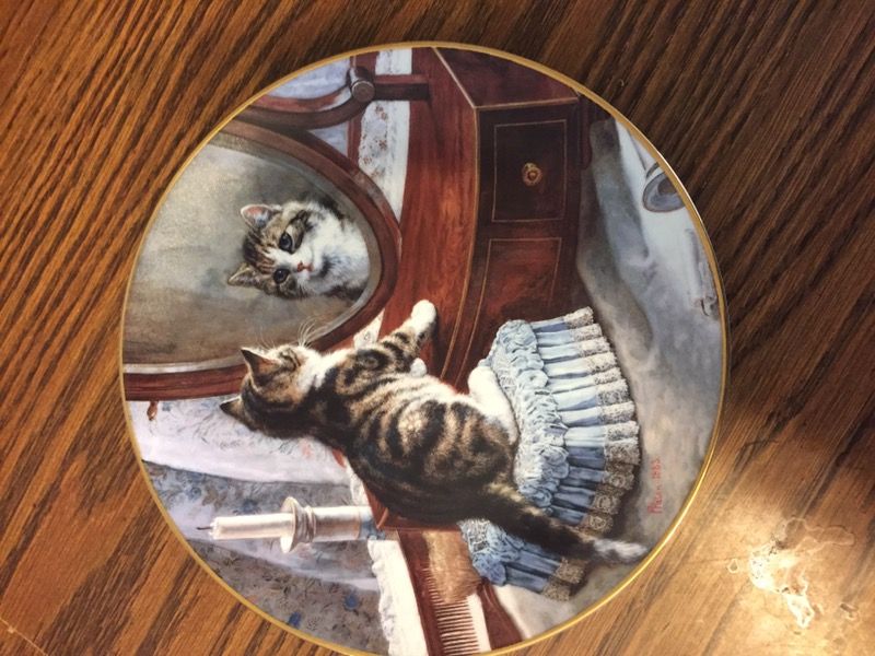 Limited edition Mirror, Mirror Cat Plate