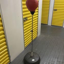Punching Ball