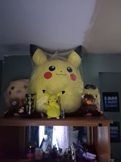 Pokémon