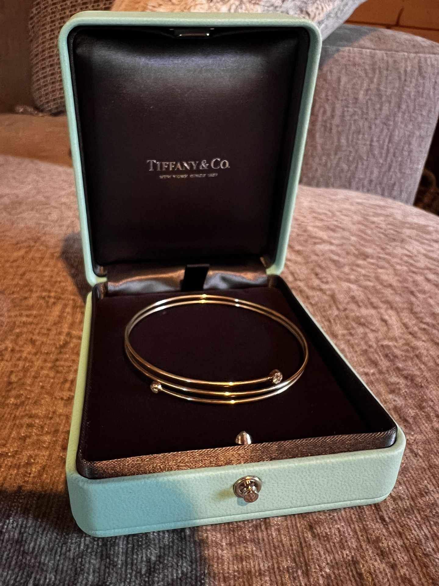 Tiffany & Co. Elsa Peretti Double Wire Diamond Bangle