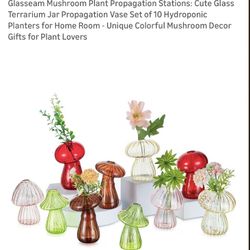 Mushroom Decor Vases Glass (set of 10) 