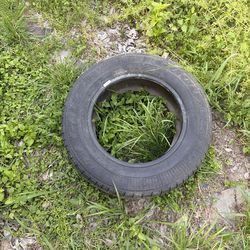 Tire 15   205/65