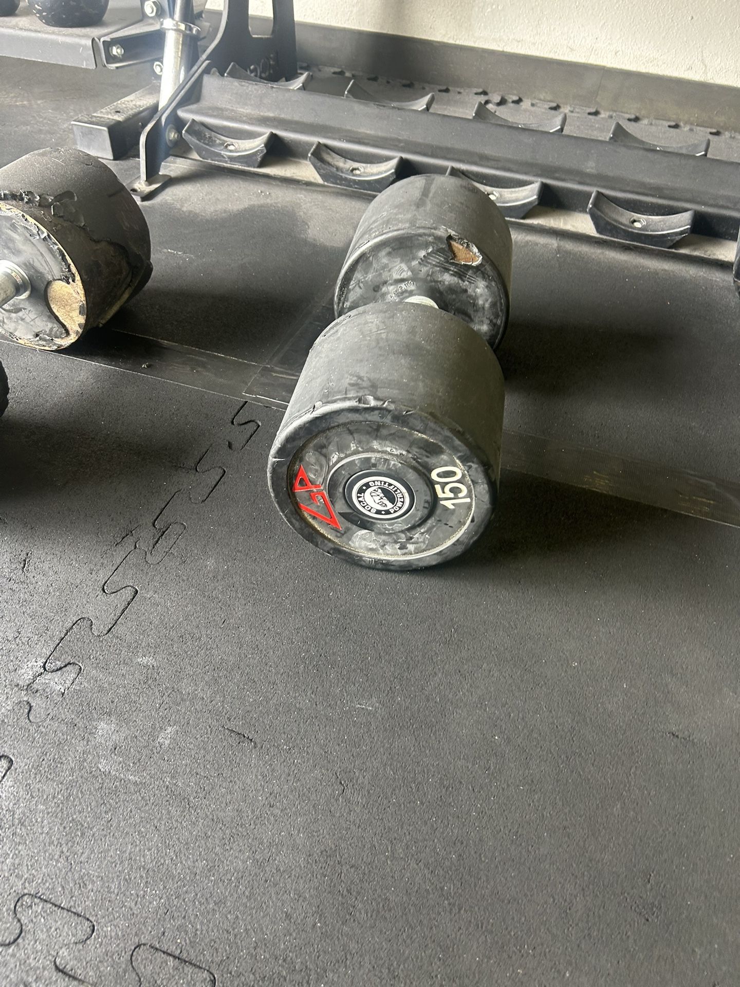 150 Pound Dumbbells