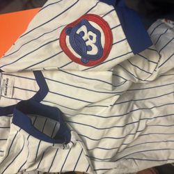 Cubs Clothing 