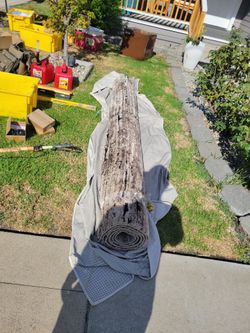 Plush brand new rug
