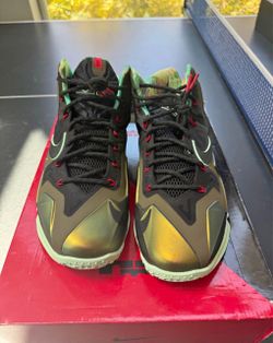 Nike LeBron 11 King's Pride