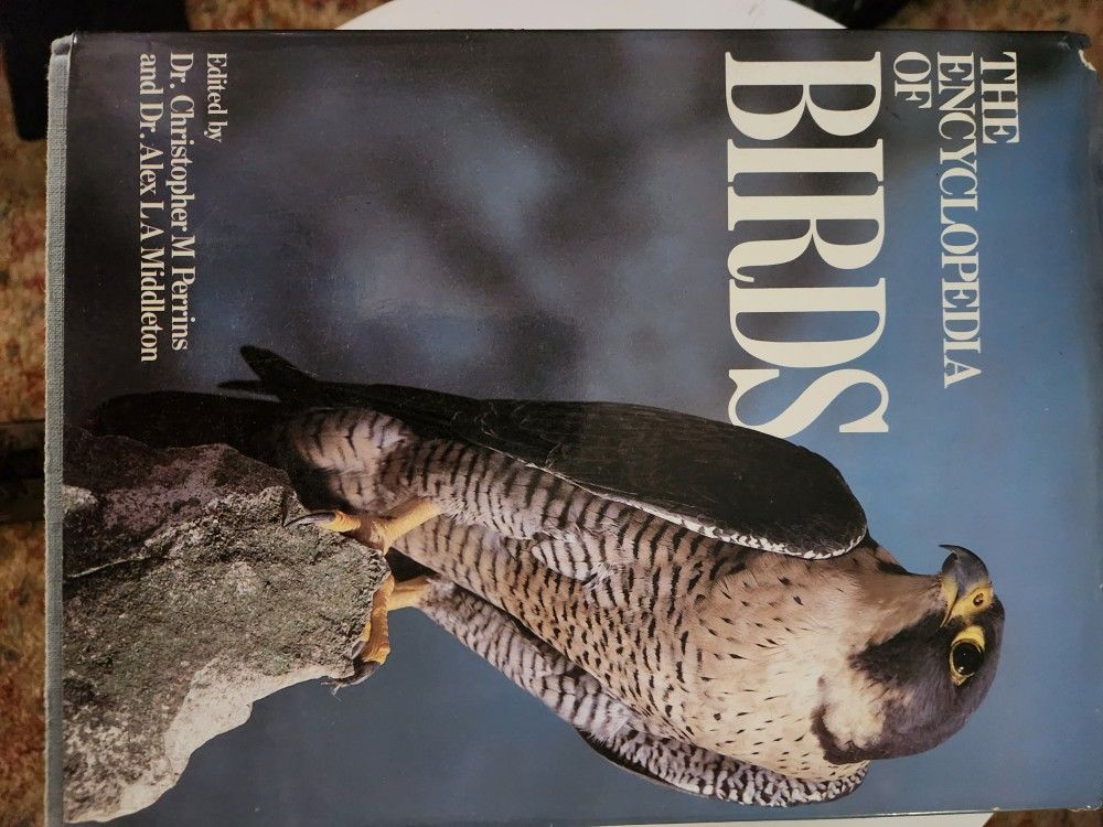 Encyclopedia Of Birds 