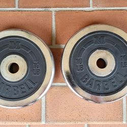 Weight (Rare )  Standard M Barbell Plates 