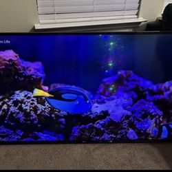 LG 4k HDR 65” TV