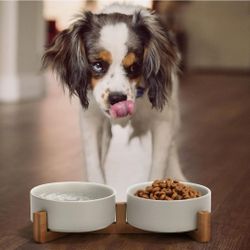 Ceramic Dog and Cat Bowl with Wood Stand Non-Slip Matte Glaze Weighted Food Wate