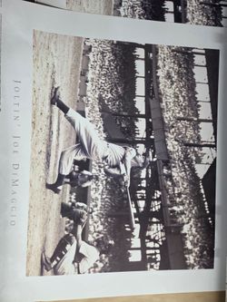 Joe dimaggio print