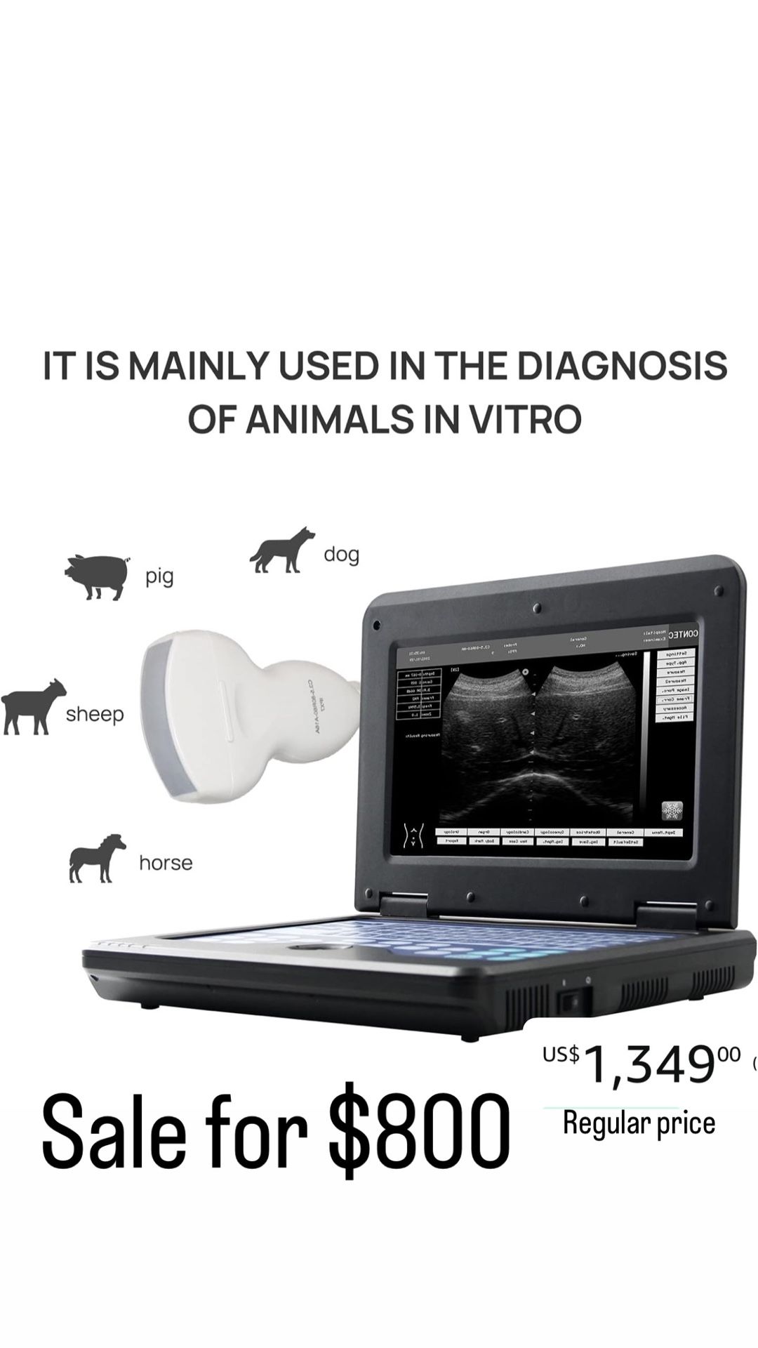 Veterinary Ultrasound Scanner