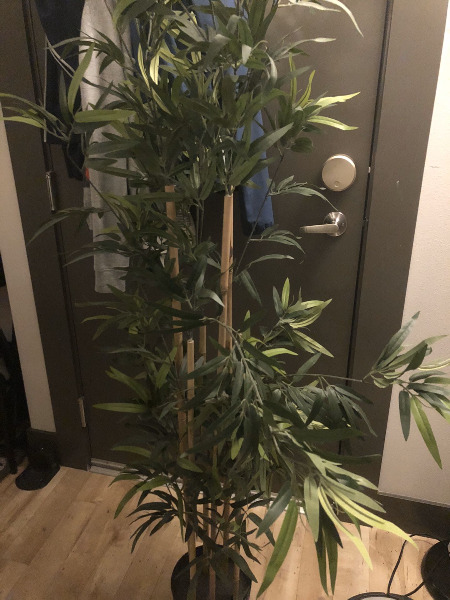 Bamboo fake plant (5’9 tall)