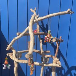 Dual Level Macaw Perch… Extremely Thick and Curvy On A Compact ( Smaller ) Base Fits Most Anywhere !! 👍🏼