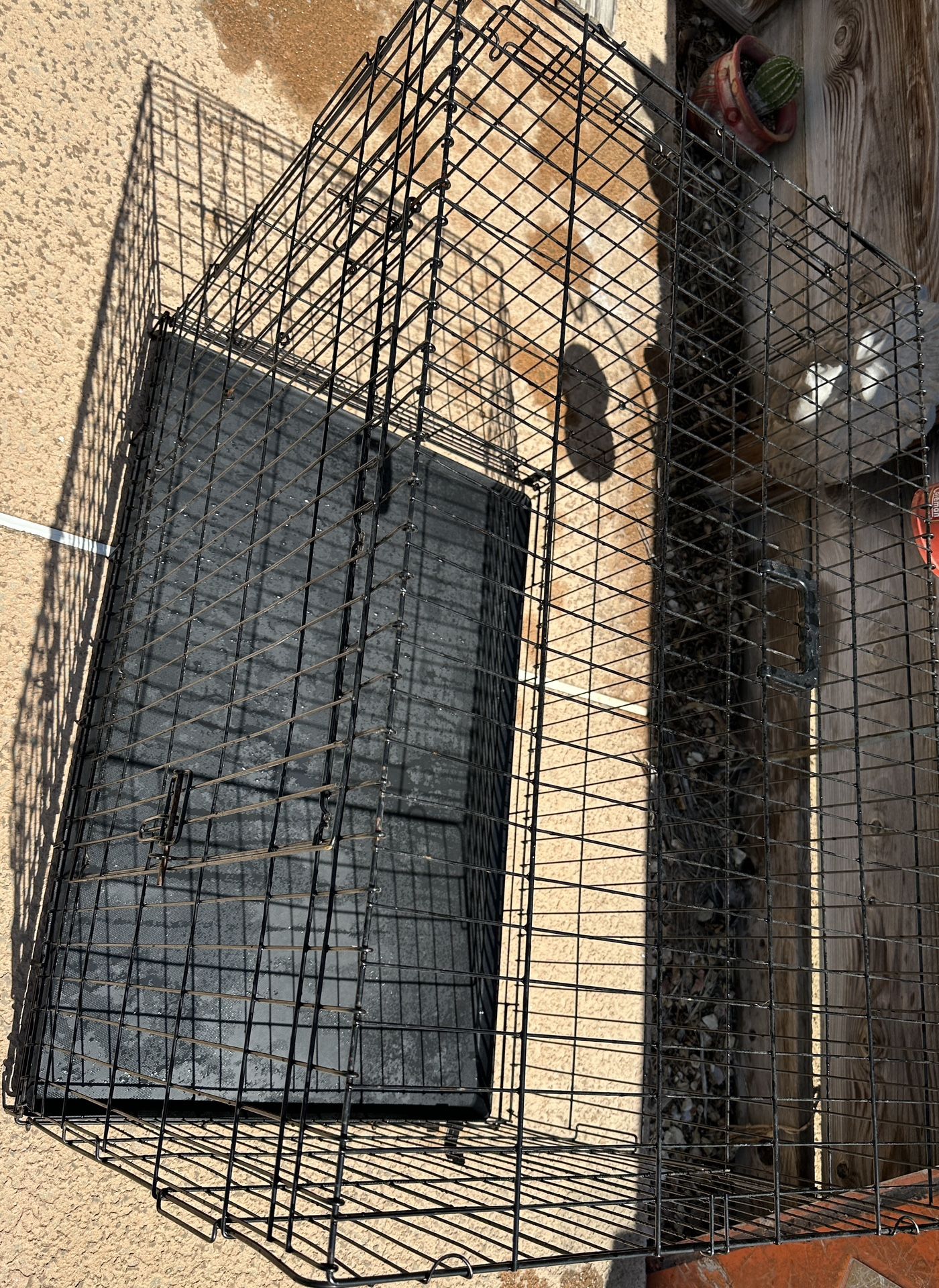 Large Dog Cage