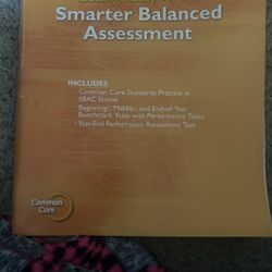 smarter balance  math