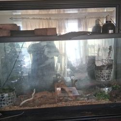 4 Foot Reptile Vivarium