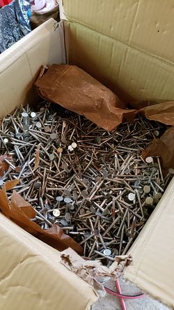 Electro galvanized roofing nails inch in 1/2