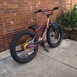 Electric Bike/Road Bike
