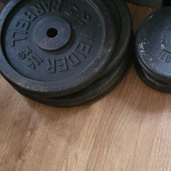 (2) 50lb Weight Plates