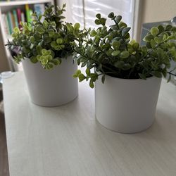 Two faux plants