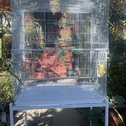 Metal Bird Cage 