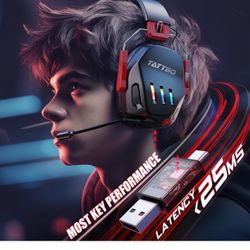 Wireless Gaming Headset 2.4GHz USB & Type-C Gaming Headphones for PC, PS4, PS5, Switch, Bluetooth 5.3 Gaming Headset with Detachable Noise Cancelling 