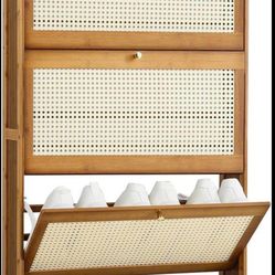 Shoe Storage Cabinet
