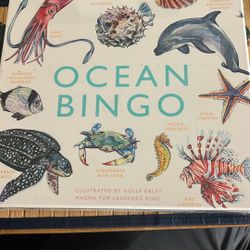 Ocean Bingp