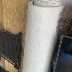 New Carpet 