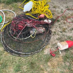 Lobsters Pots