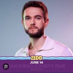 1 GA Floor Seat For Zedd At The Fair