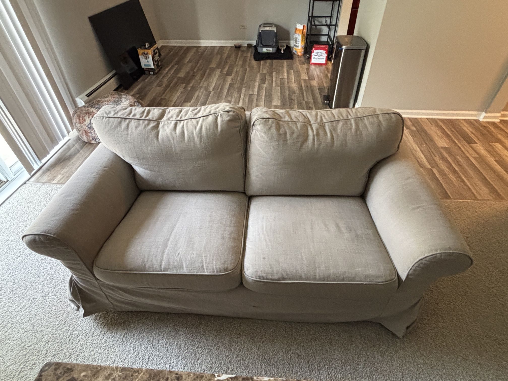 1 Year Old Couch/Loveseat
