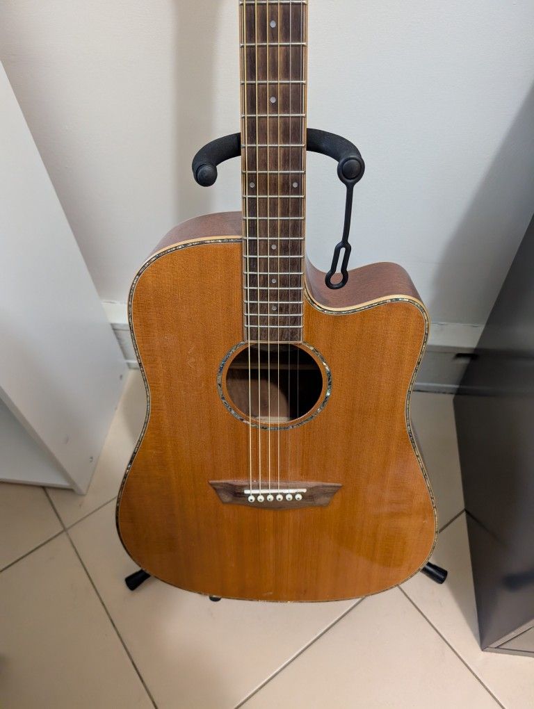 Washburn Acoustic