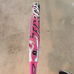 Asa Bat 