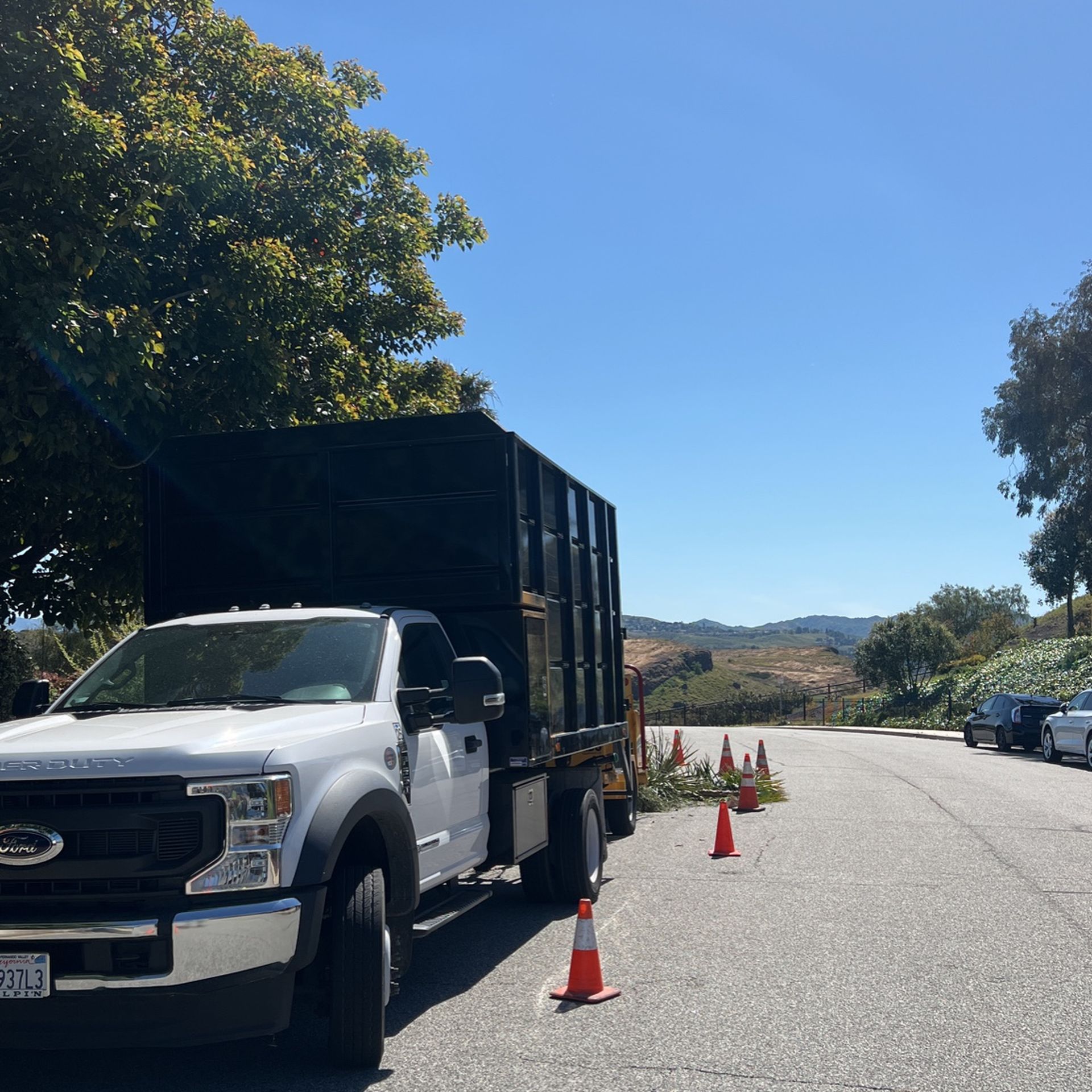 Brush Fire Clearance Palm Trees Olive Treeschain Link Fence To Divide Property Line