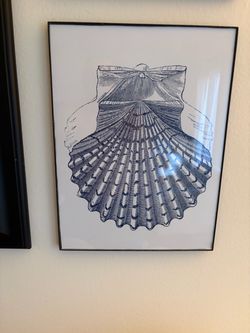 Set of 4 Sea Shell Art Prints