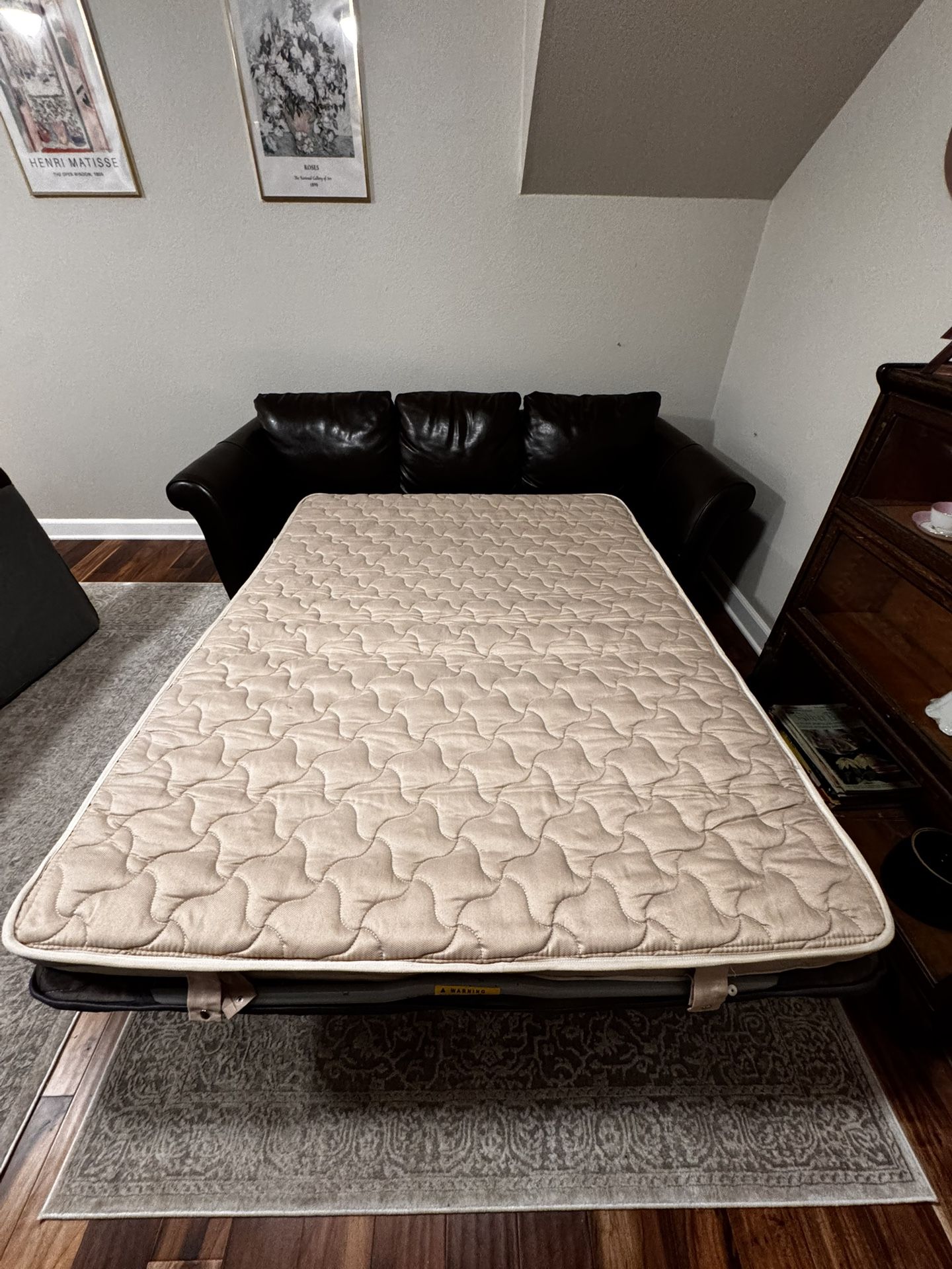 Leather Hide-A-Bed Couch