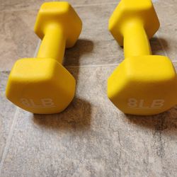 8lb Workout Set 