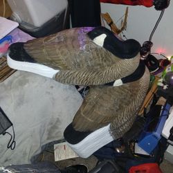 Large decoy Duck For Target Practice Lot Of 6