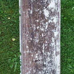 Louisville Scaffolding Plank