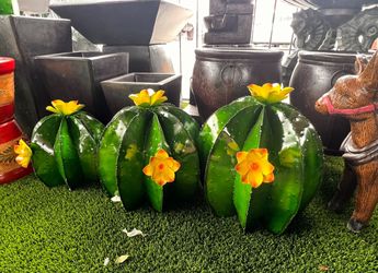 Metal Cactus Set 