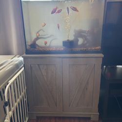 Fish Tank