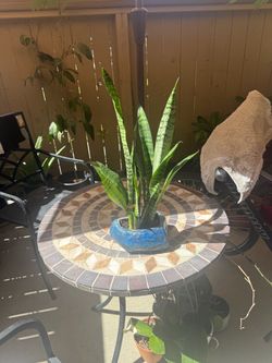 SanCiberio , air purifier
