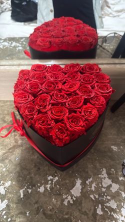 Forever rose flowers