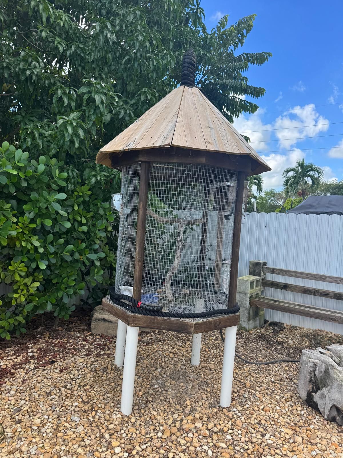 Jaula De Cotoras Con 2