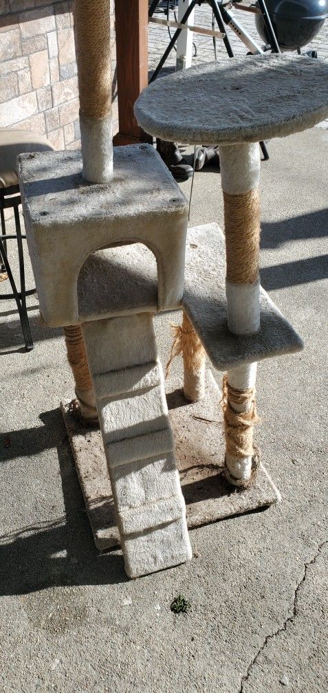 Cat Tree Free